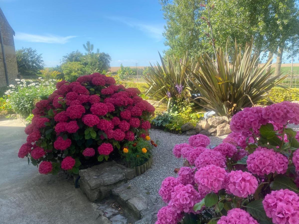 Bed and Breakfast Ferme "Les Flaquettes" Guînes Exterior foto